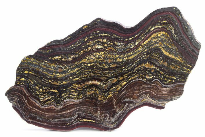 Polished Tiger Iron Stromatolite Slab - Billion Years #247778